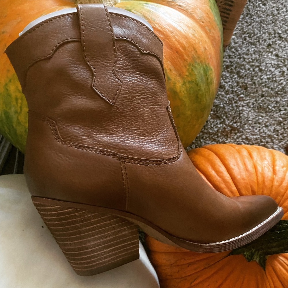 Zodiac Roslyn western booties
